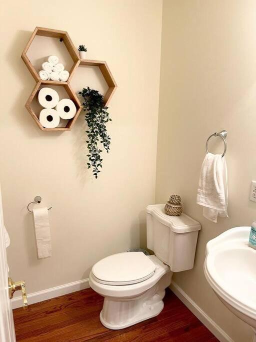McGaheysville Spacious Family Friendly Home Near Massanutten And National Park מראה חיצוני תמונה
